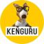 kenguru.decor &ndash; друк на футболках, чашках, подушках!