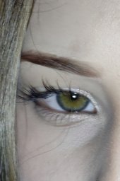 Zenicka